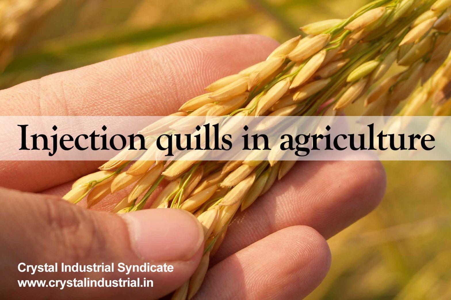 Injection quills in agriculture for crop spraying