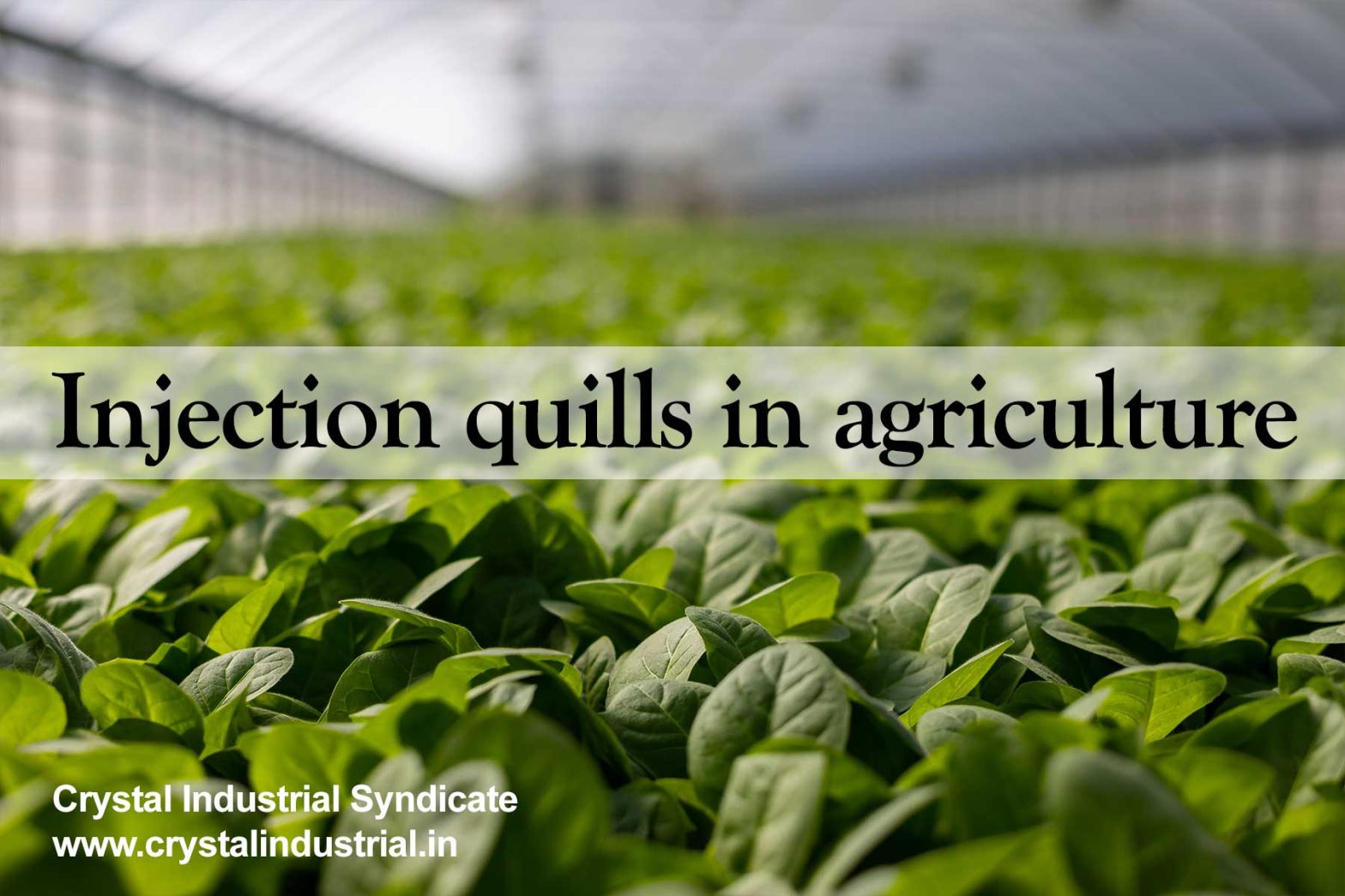 Injection quills for agriculture