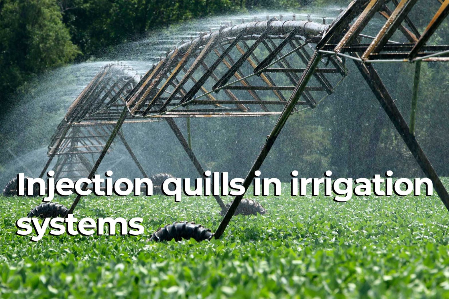 How injection quills from India ensure accurate dosing of chemicals in irrigation systems.