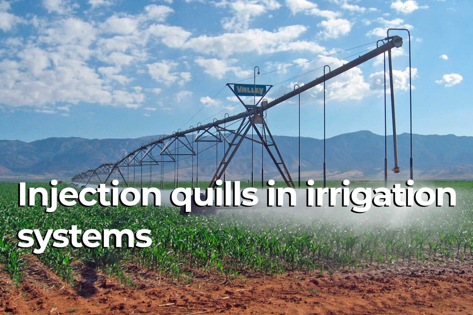 Injection quills for irrigation systems