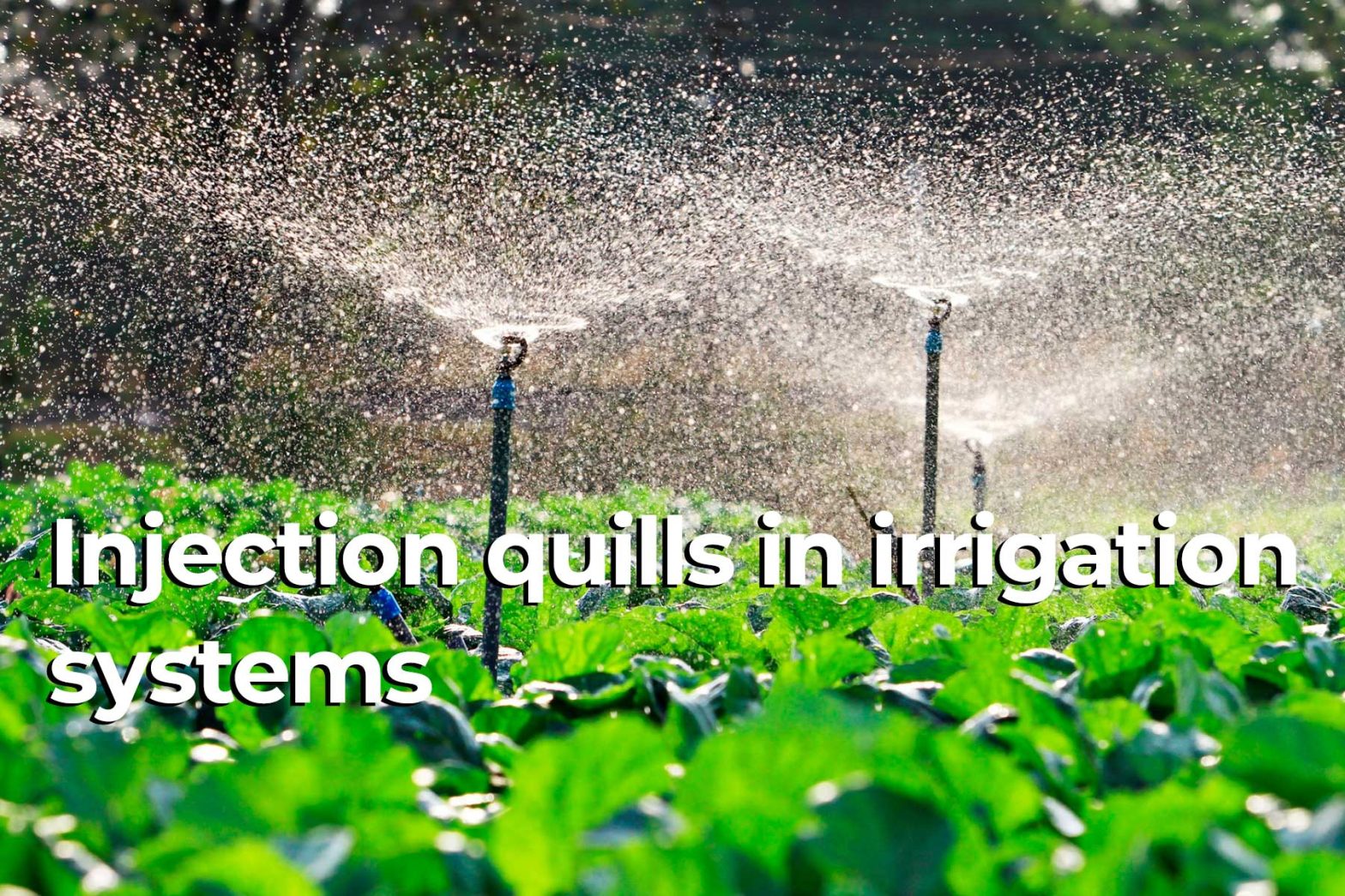 Environmental considerations in the future of injection quills in irrigation systems